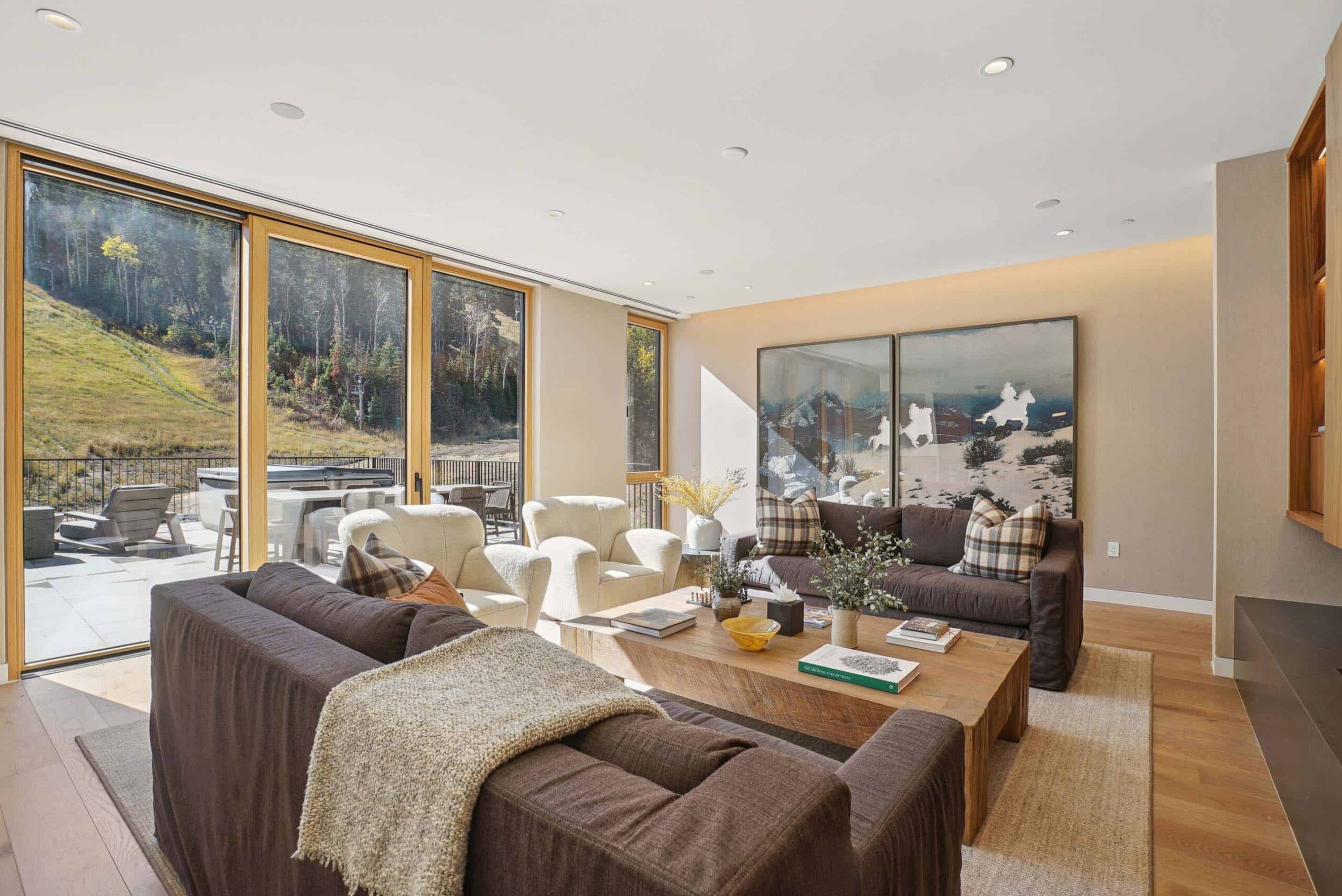 What do ski resorts include?